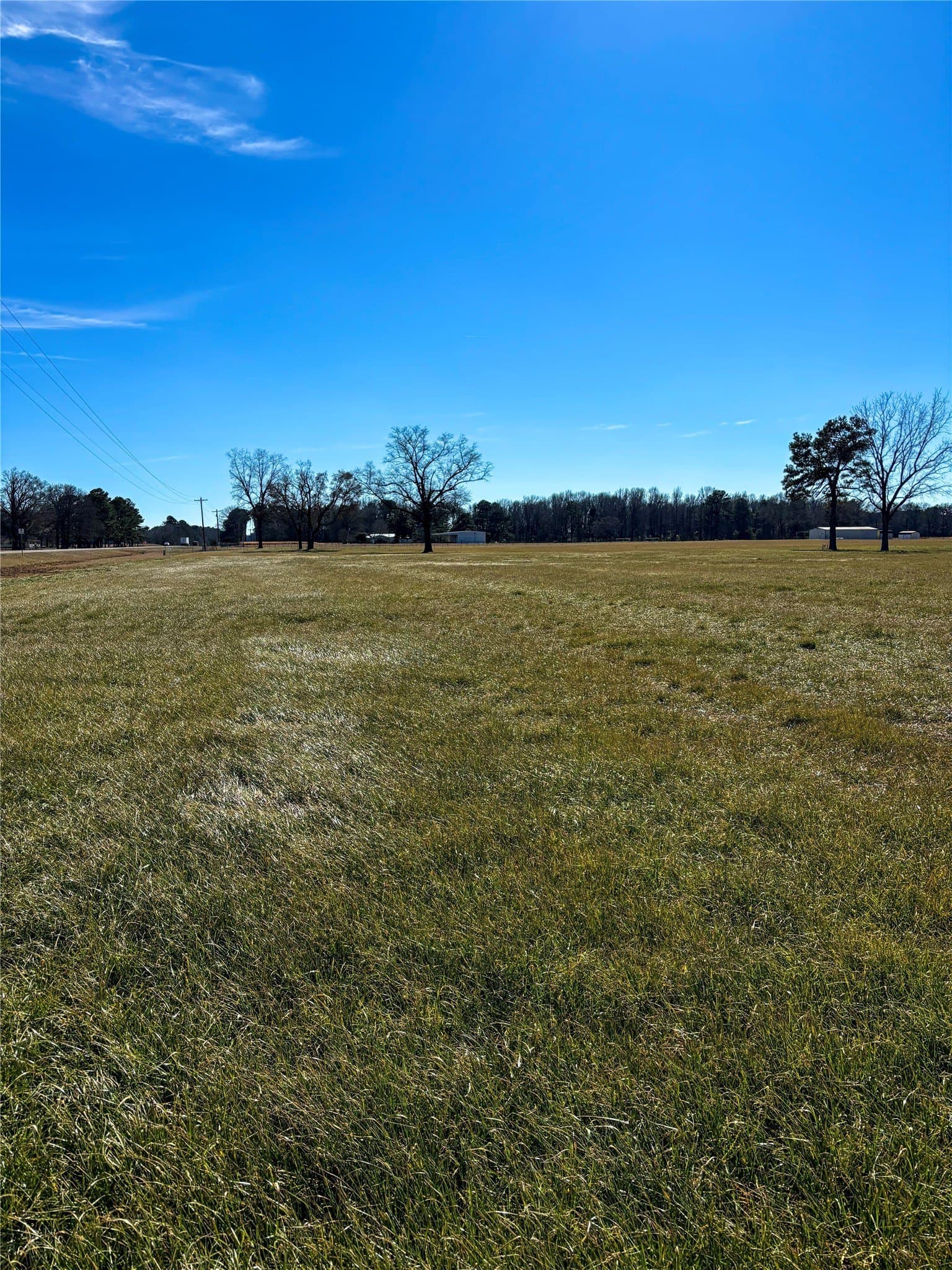 81.77 acres in Bowie County featured view