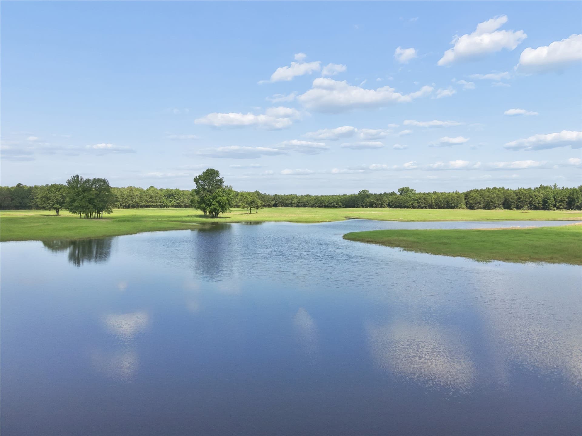 81.77 acres in Bowie County