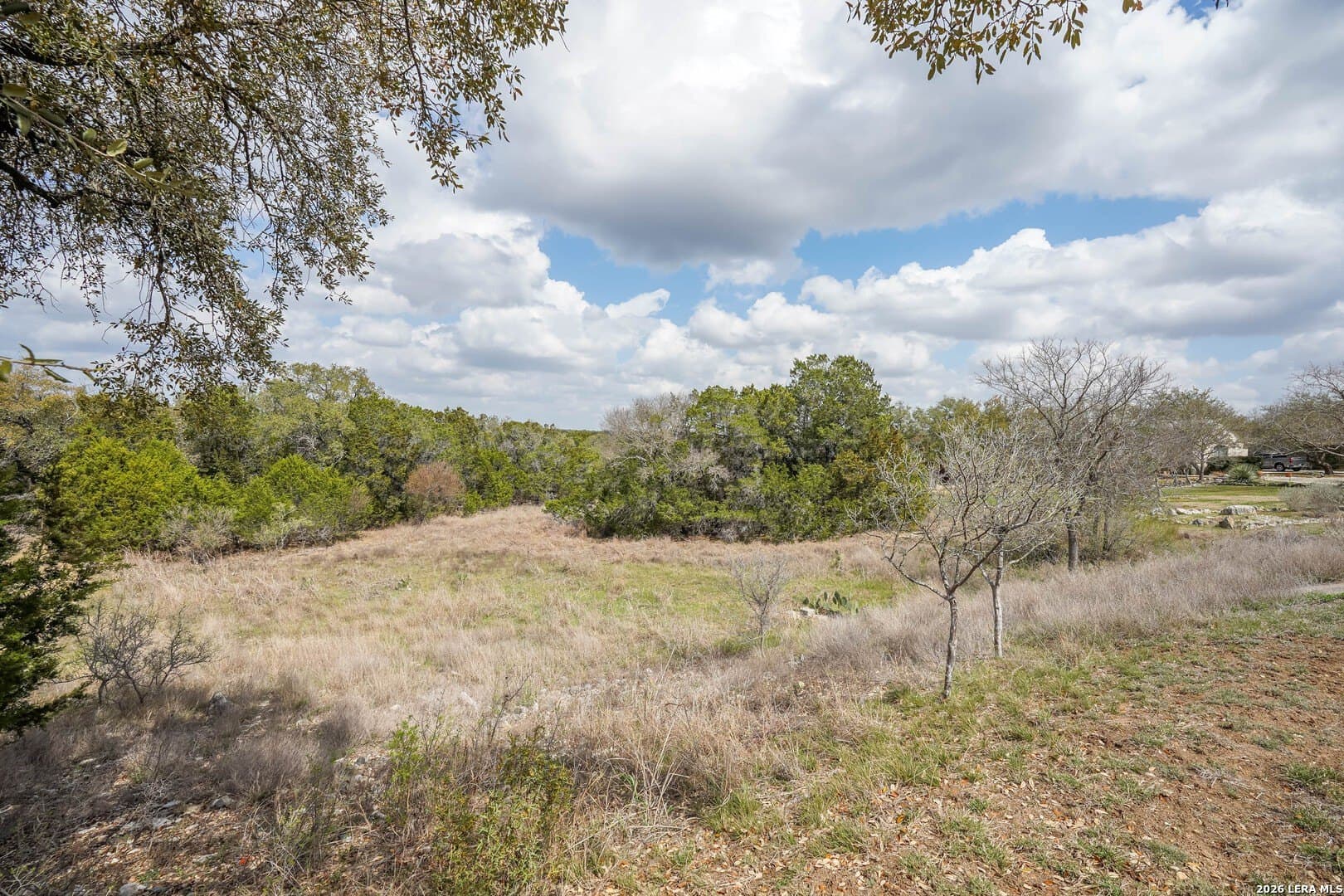 3.89 acres in Comal County gallery image 4