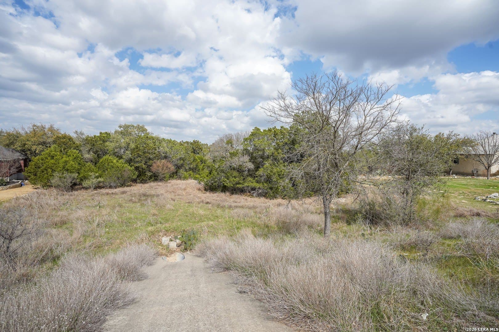 3.89 acres in Comal County gallery image 2