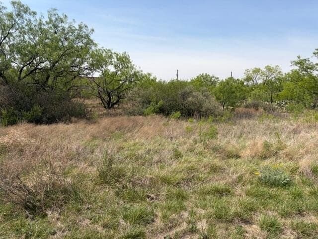 1.03 acres in Tom Green County gallery image 3