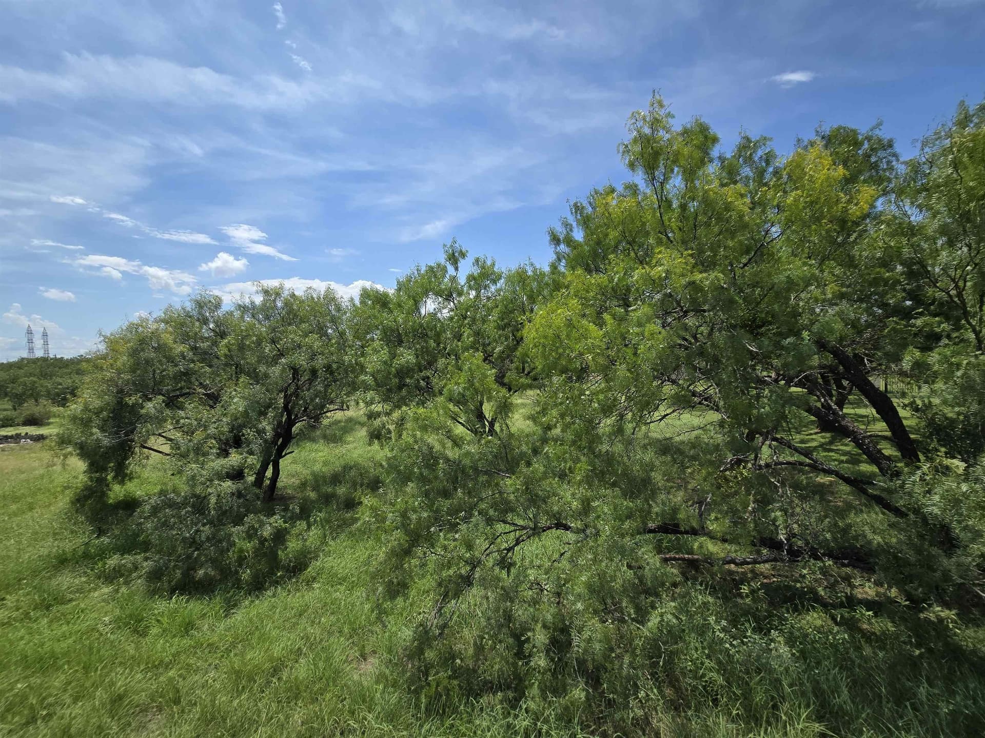 0.23 acres in Llano County - photo 6