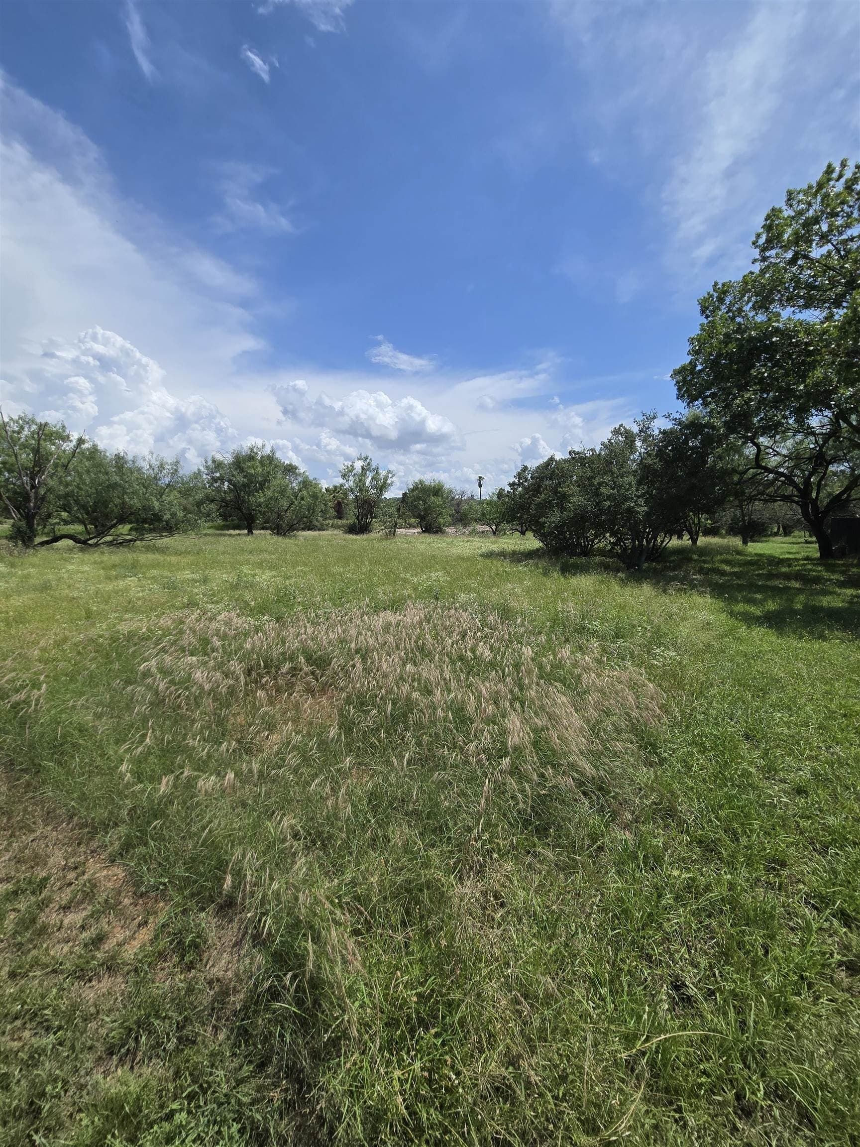 0.23 acres in Llano County - photo 8