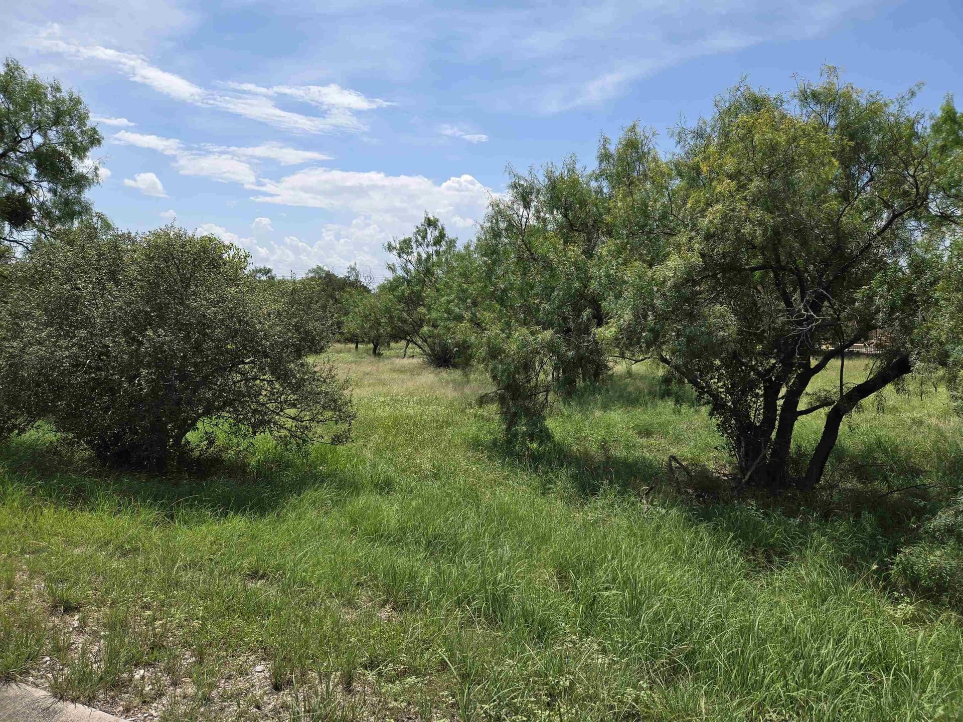 0.23 acres in Llano County - photo 11