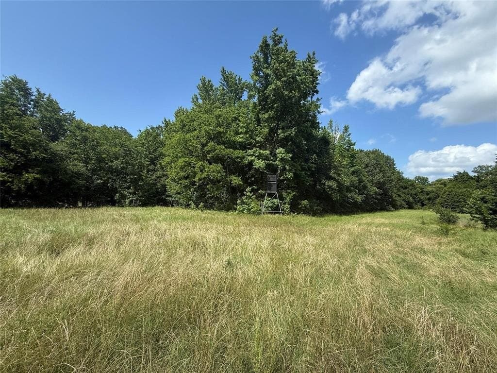 36.9 acres in Hopkins County gallery image 3