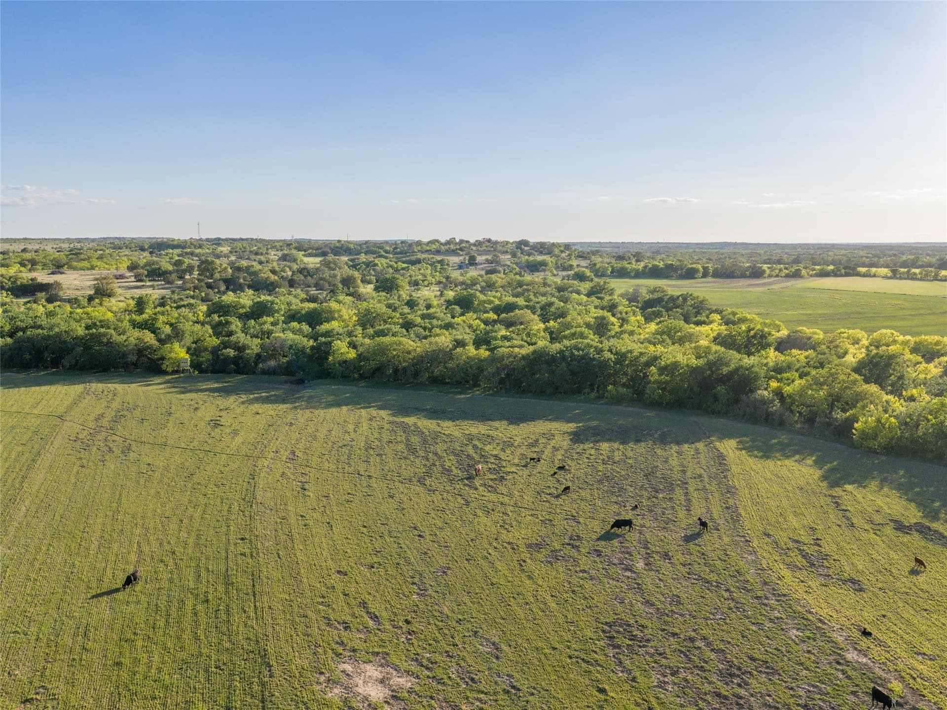 164.25 acres in Comanche County - photo 10