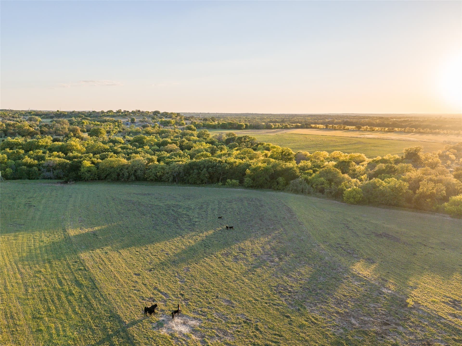 164.25 acres in Comanche County - photo 30