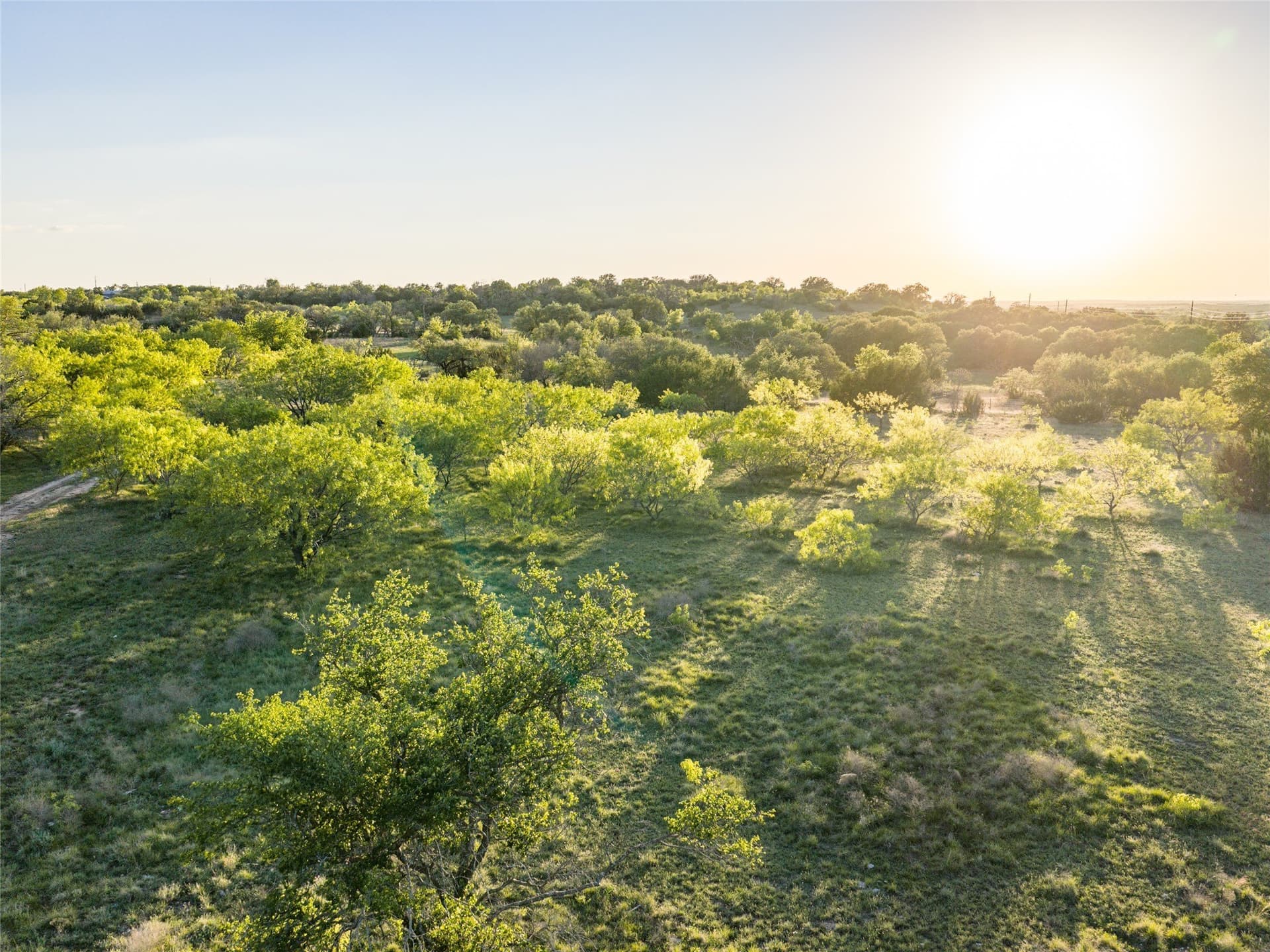 164.25 acres in Comanche County - photo 16