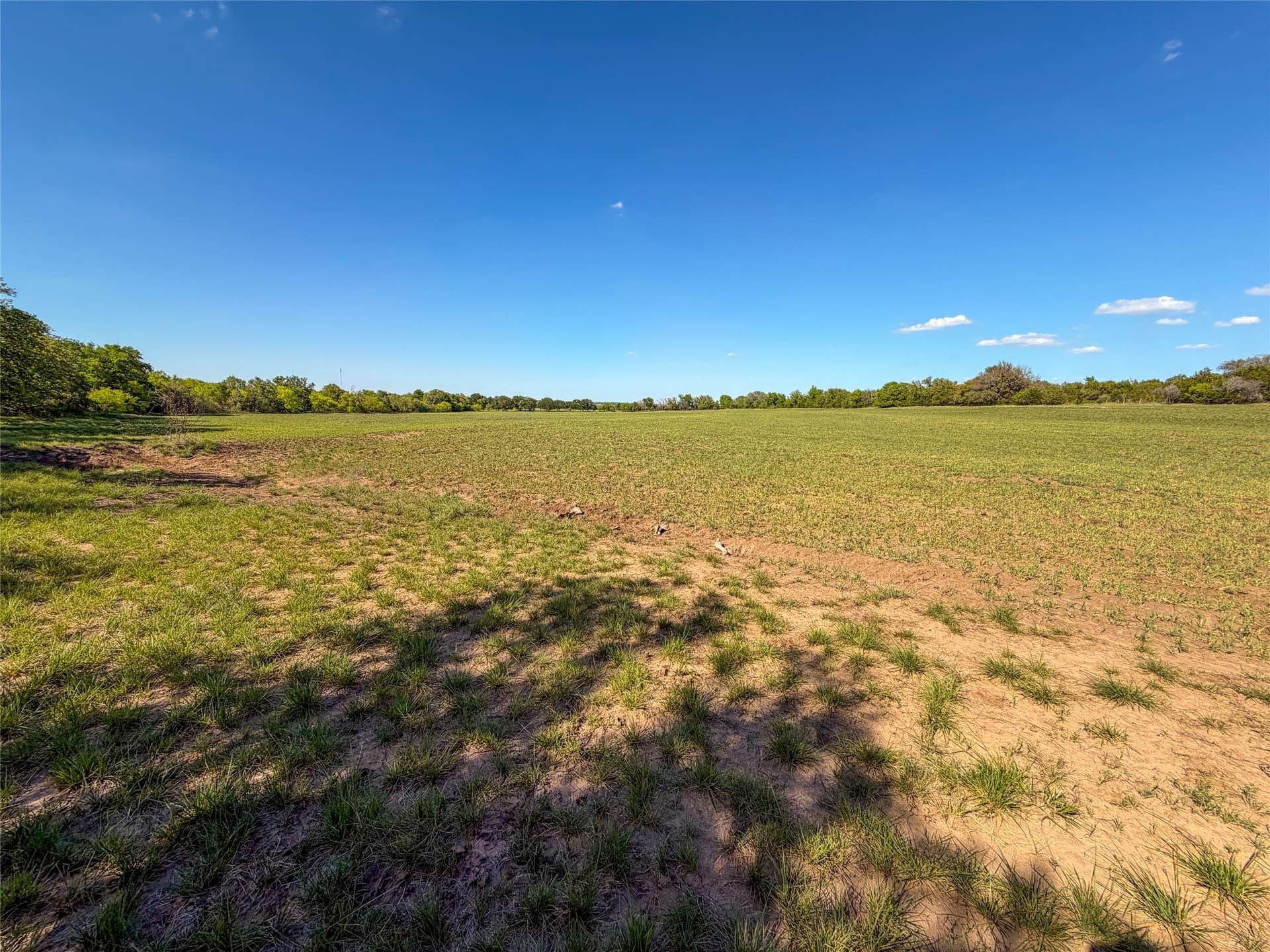 164.25 acres in Comanche County - photo 38