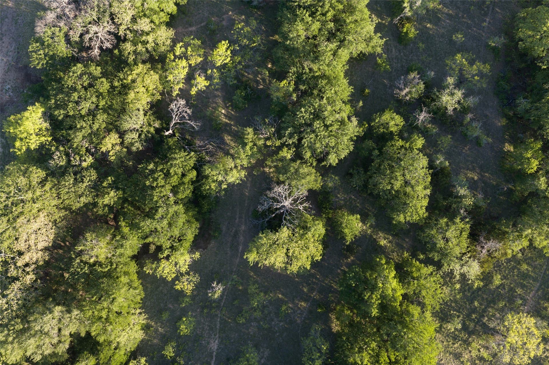 164.25 acres in Comanche County - photo 11