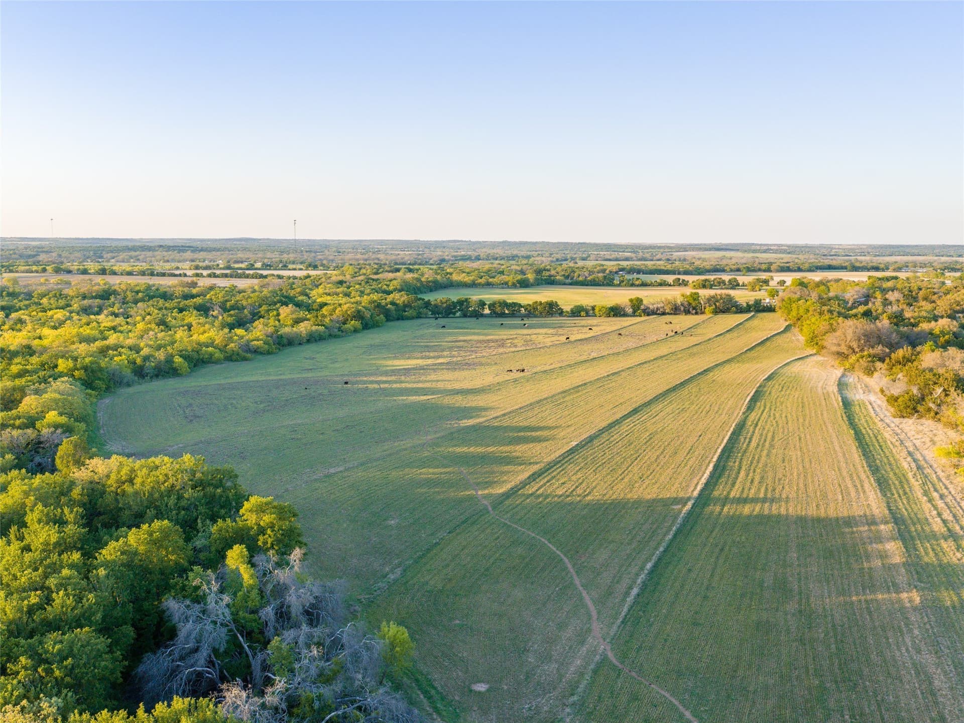 164.25 acres in Comanche County - photo 29