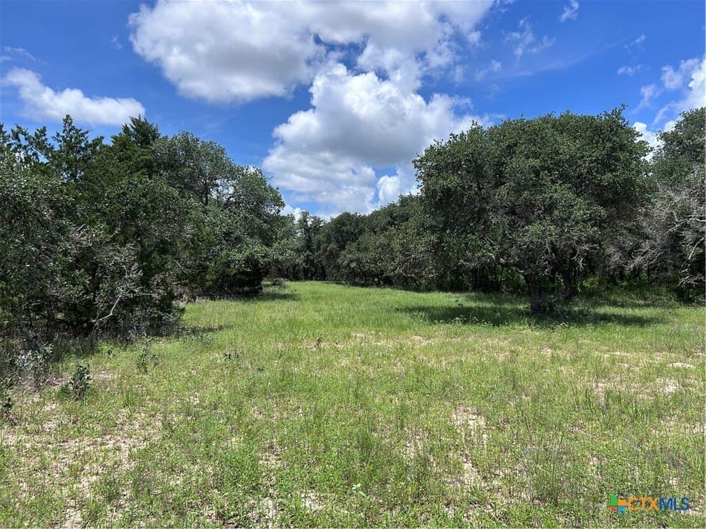 142.61 acres in Lavaca County - photo 21