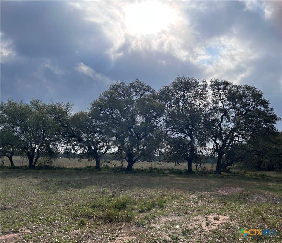 142.61 acres in Lavaca County
