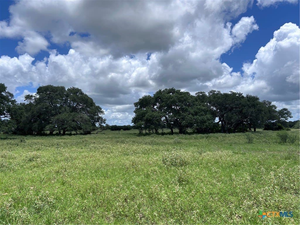 142.61 acres in Lavaca County - photo 8