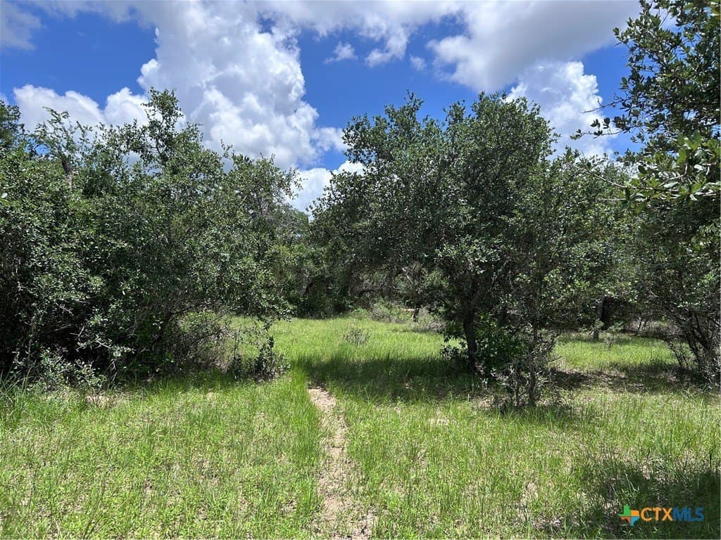 142.61 acres in Lavaca County - photo 16
