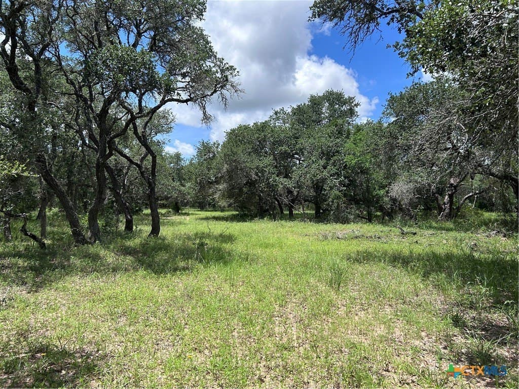142.61 acres in Lavaca County - photo 15