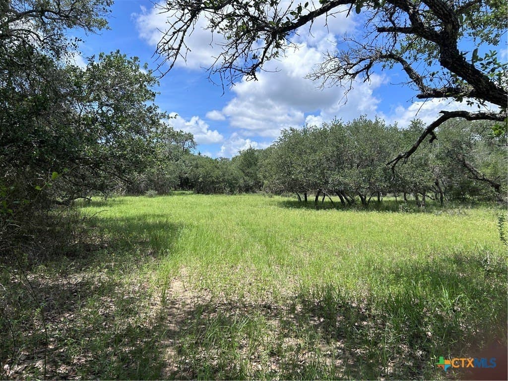 142.61 acres in Lavaca County - photo 22