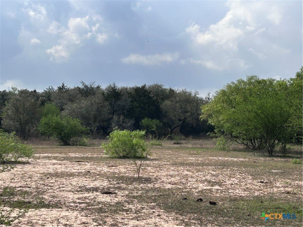 142.61 acres in Lavaca County gallery image 4