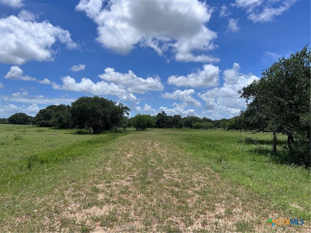 142.61 acres in Lavaca County gallery image 4