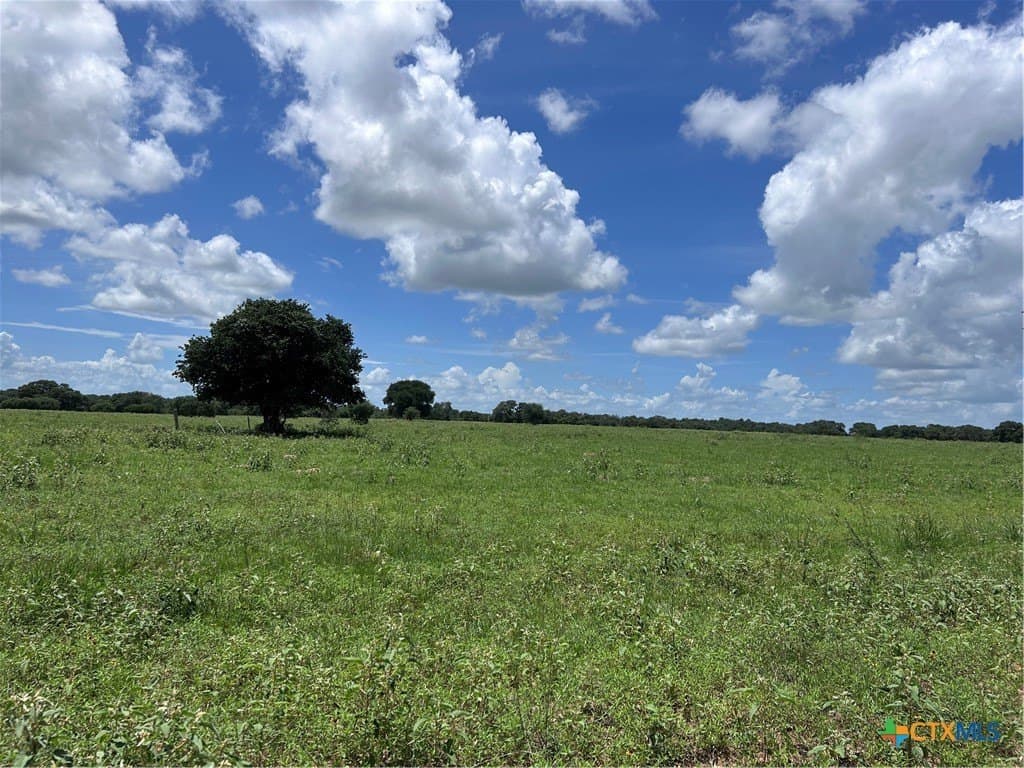 142.61 acres in Lavaca County - photo 29