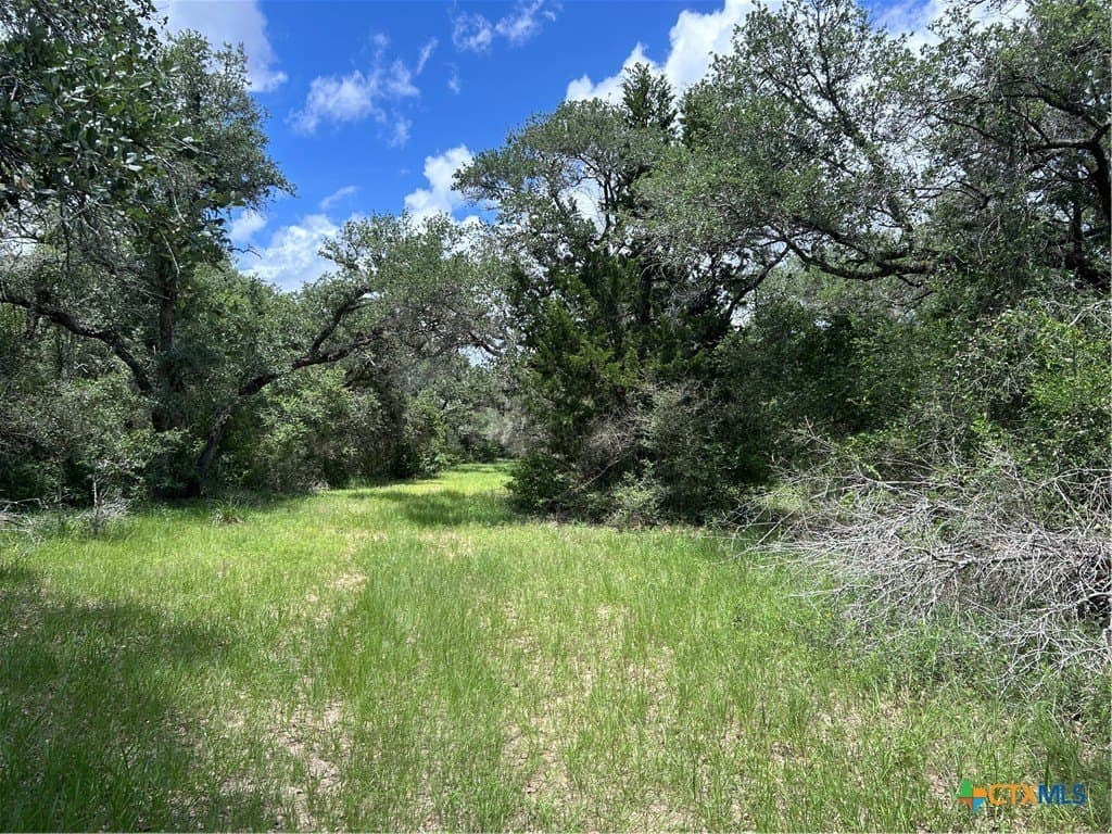 142.61 acres in Lavaca County - photo 19