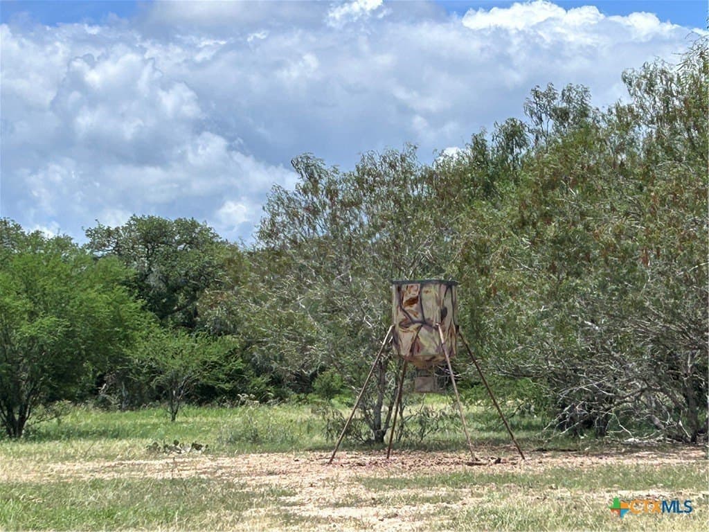 142.61 acres in Lavaca County - photo 17