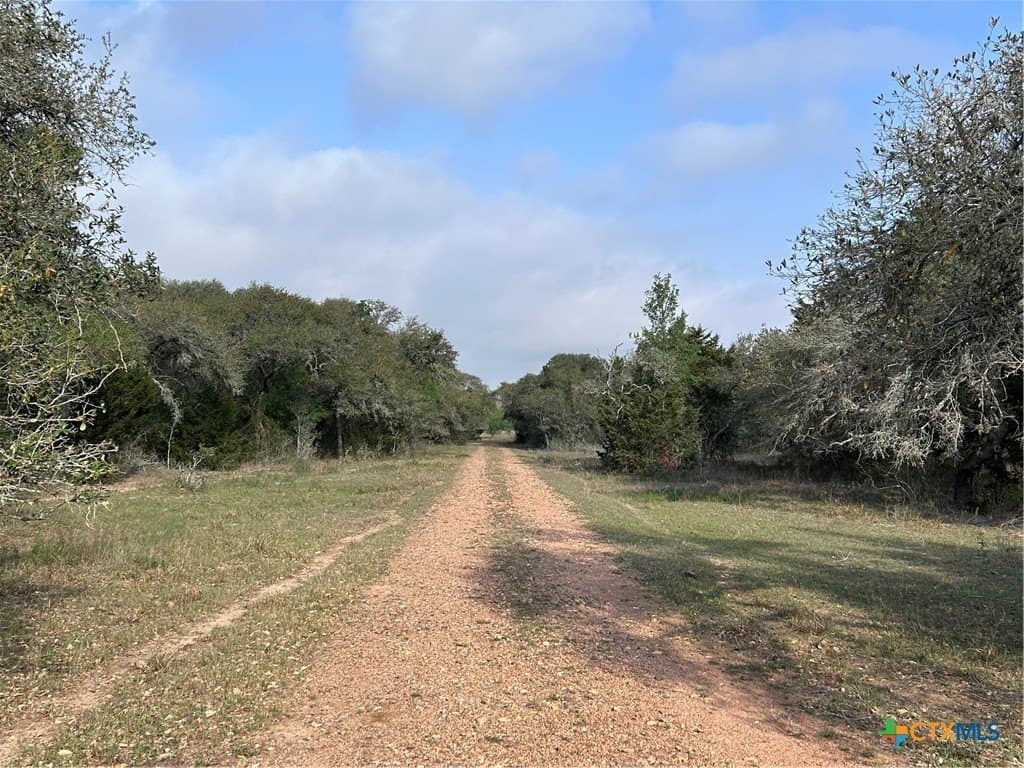 142.61 acres in Lavaca County gallery image 3