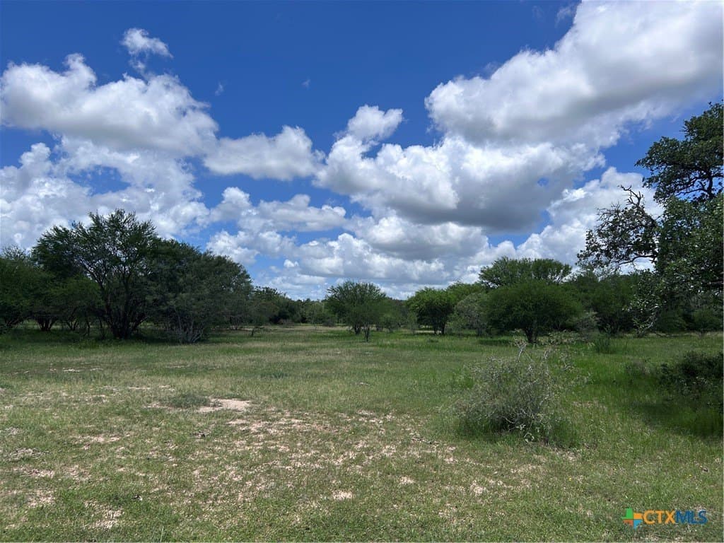 142.61 acres in Lavaca County - photo 13