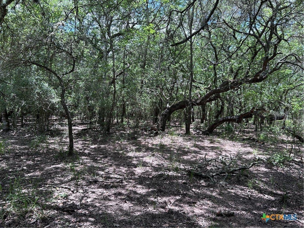 142.61 acres in Lavaca County - photo 12