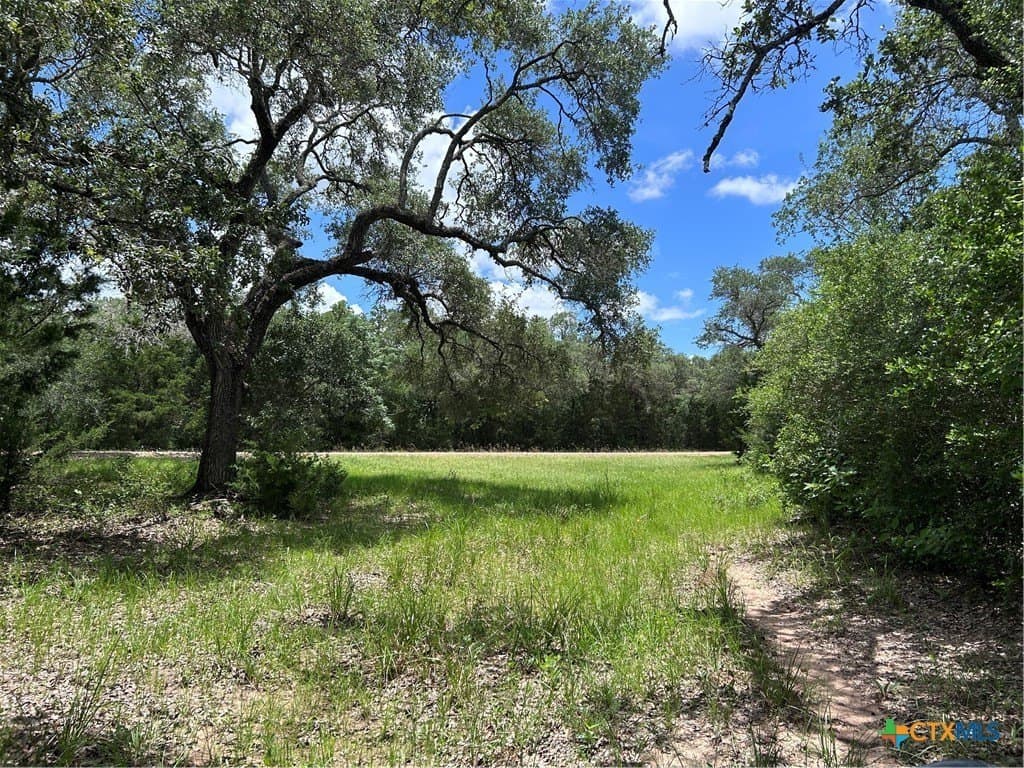 142.61 acres in Lavaca County gallery image 2