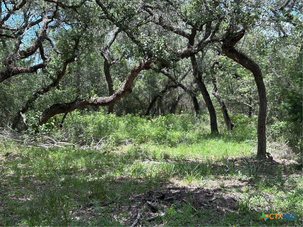 142.61 acres in Lavaca County - photo 20