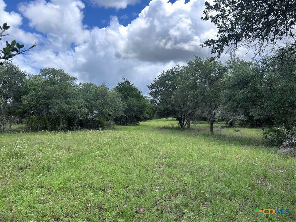 142.61 acres in Lavaca County gallery image 3