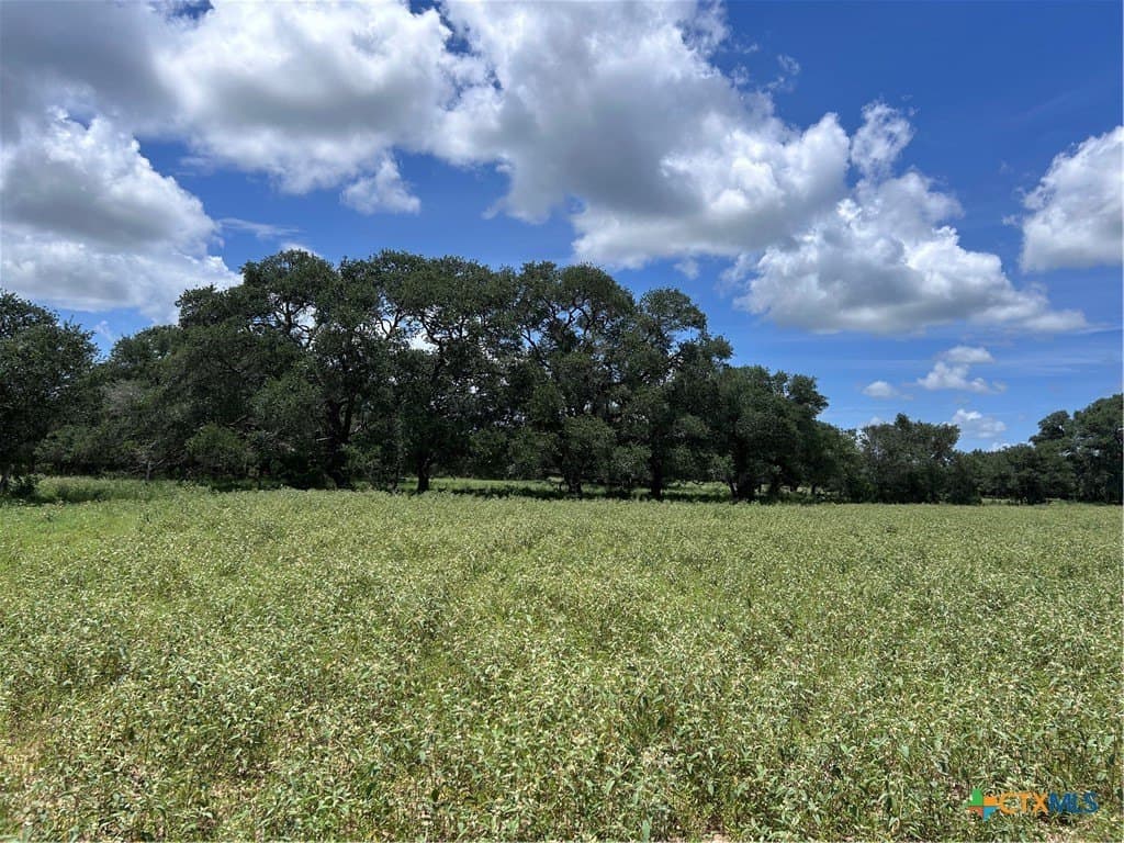 142.61 acres in Lavaca County - photo 25