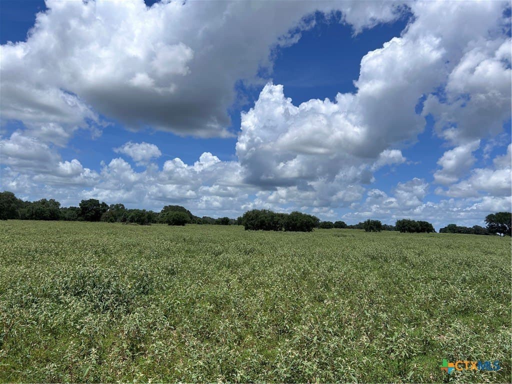 142.61 acres in Lavaca County - photo 27