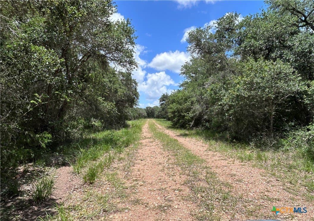 142.61 acres in Lavaca County - photo 10