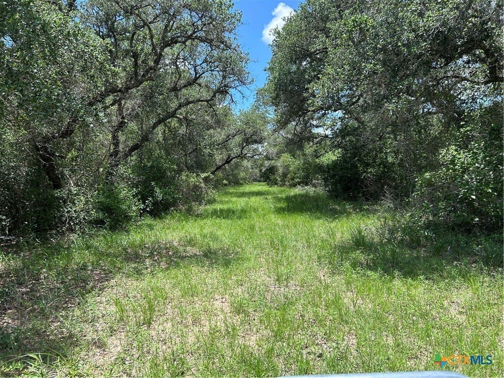 142.61 acres in Lavaca County - photo 11