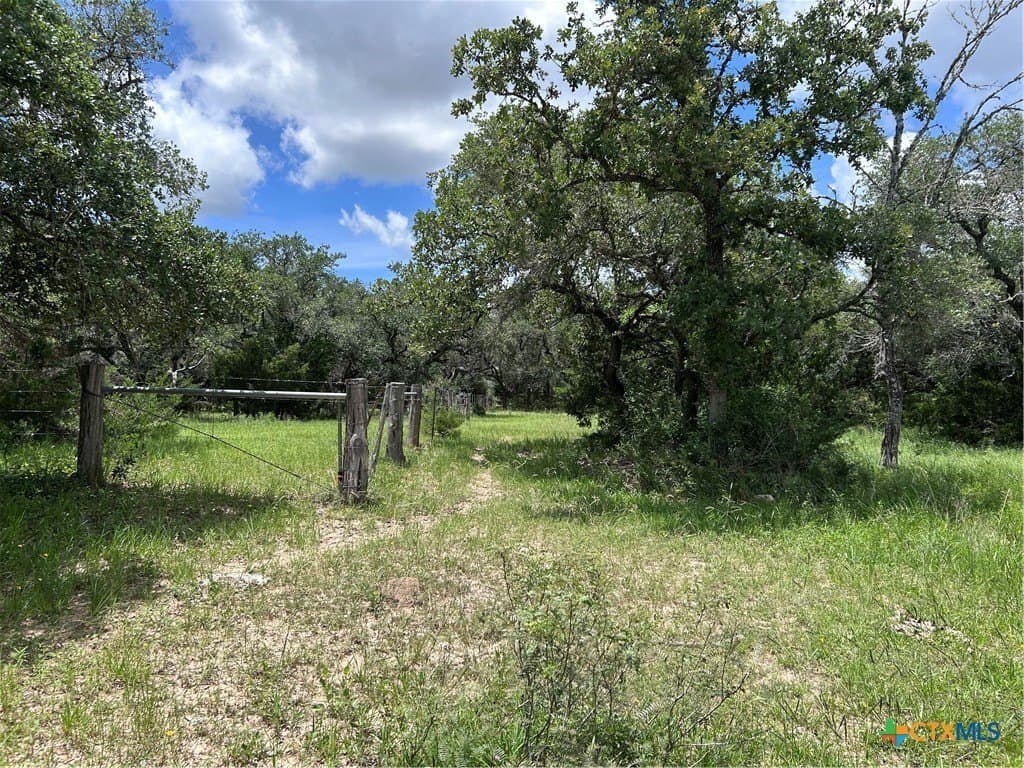 142.61 acres in Lavaca County - photo 18