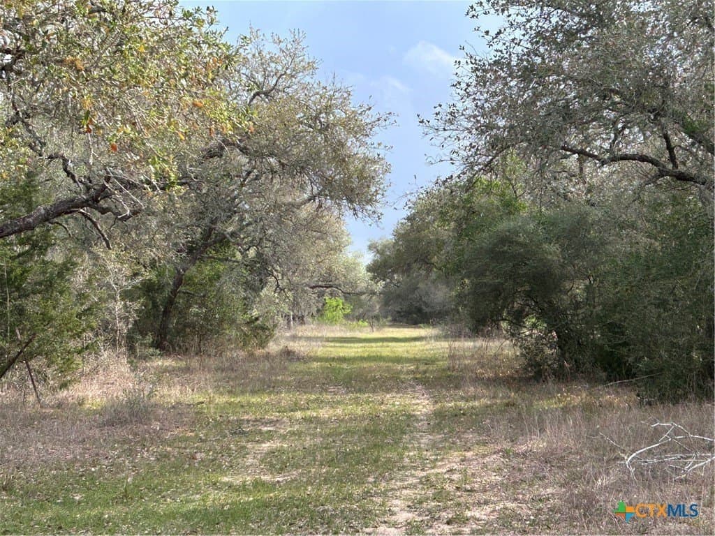 142.61 acres in Lavaca County gallery image 2