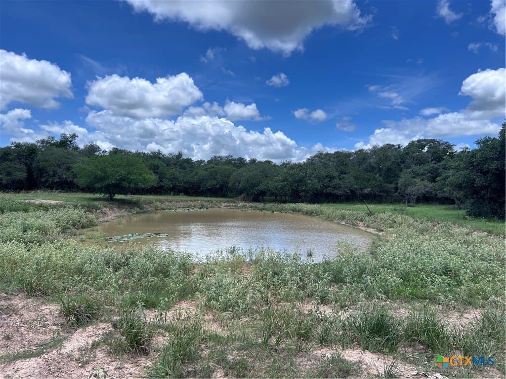 142.61 acres in Lavaca County featured view