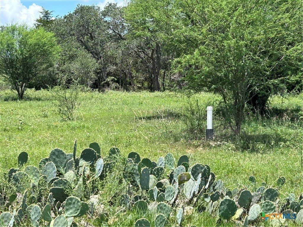 142.61 acres in Lavaca County - photo 6