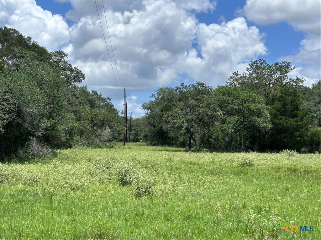 142.61 acres in Lavaca County - photo 9