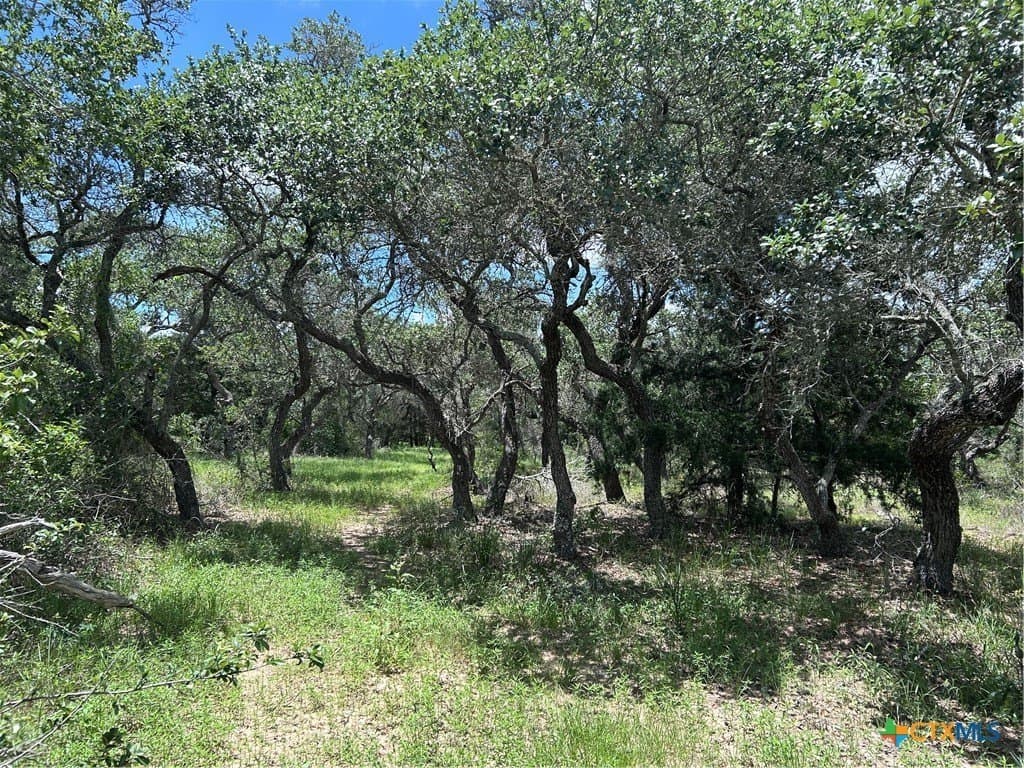 142.61 acres in Lavaca County - photo 26