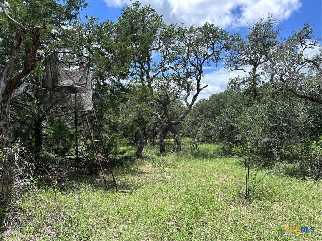 142.61 acres in Lavaca County - photo 24
