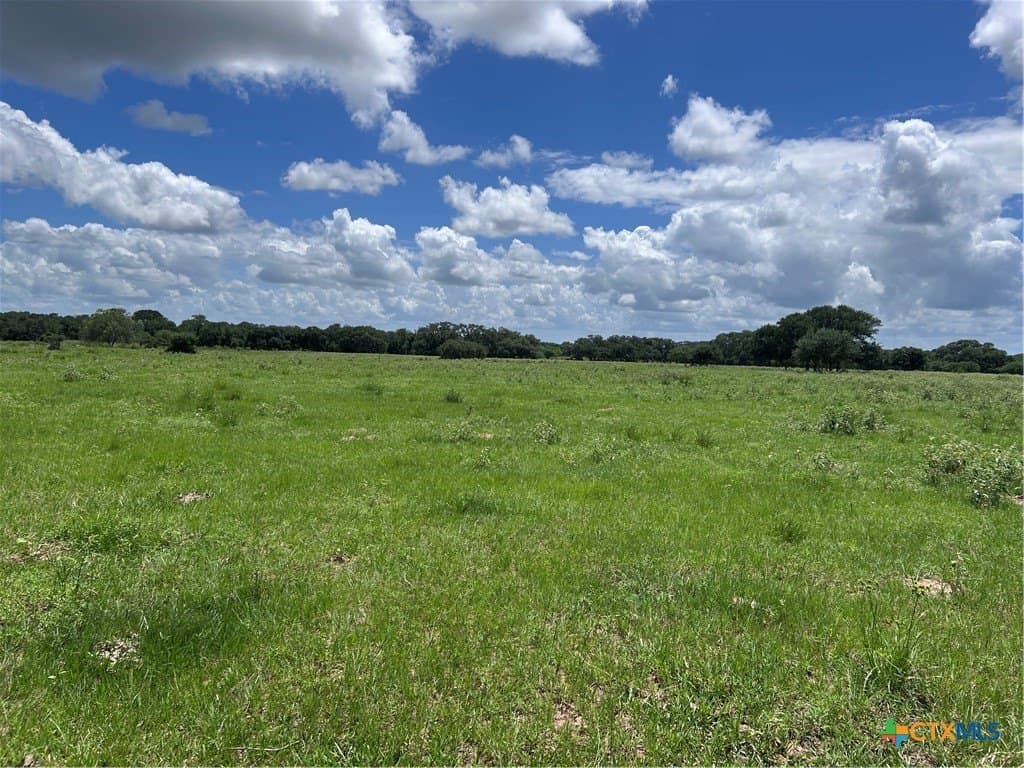 142.61 acres in Lavaca County - photo 23