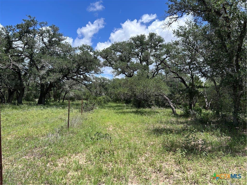 142.61 acres in Lavaca County - photo 7