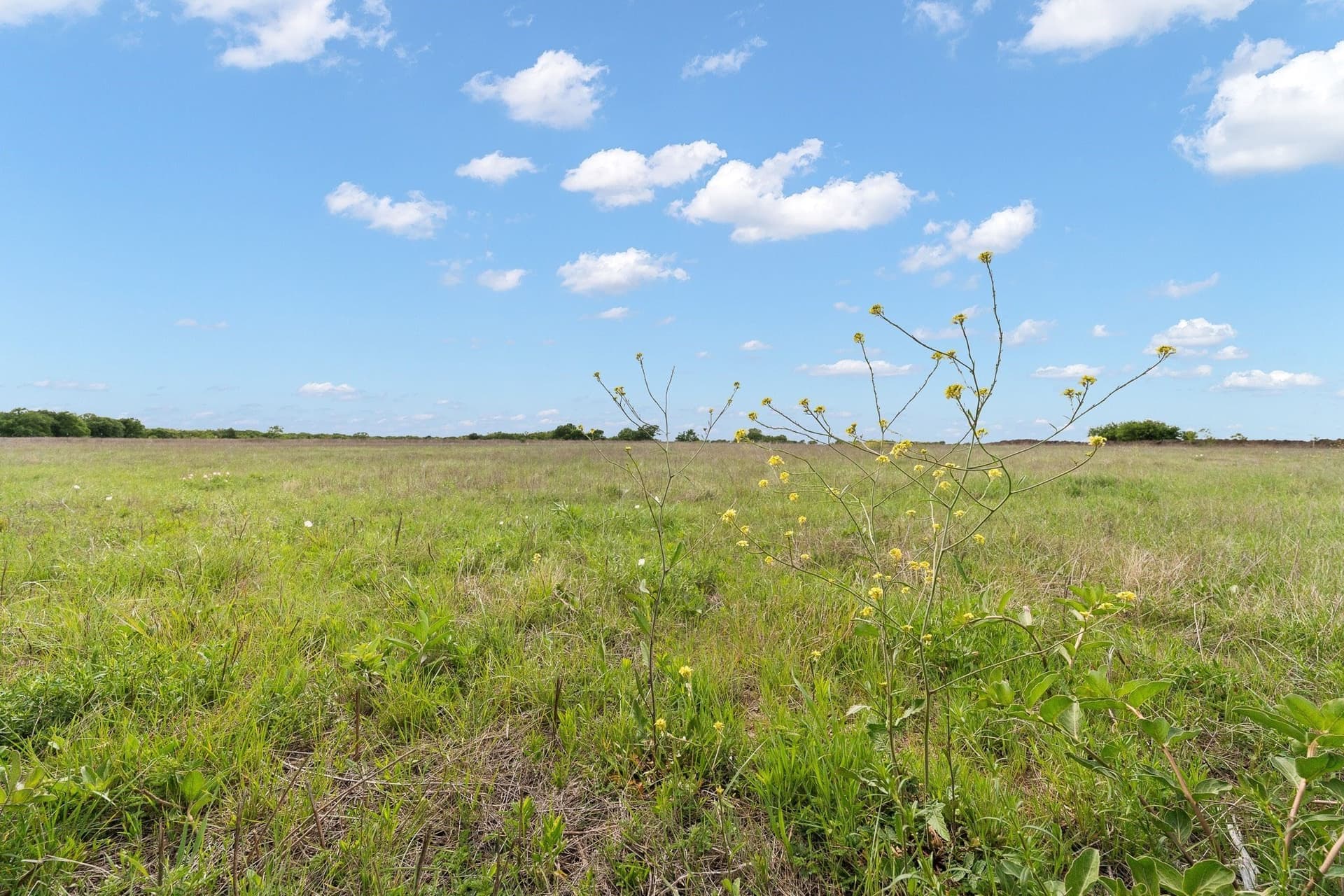 14.79 acres in Johnson County - photo 32