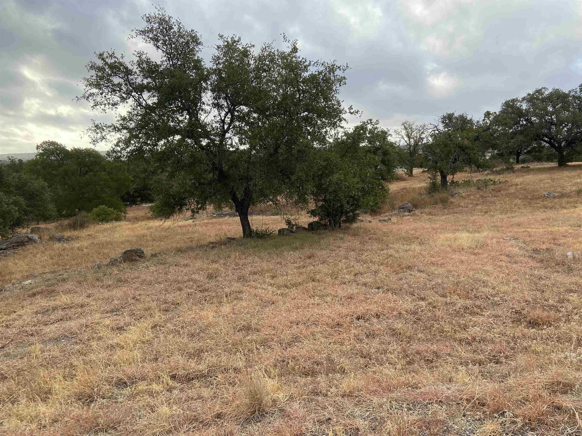 0.24 acres in Llano County gallery image 4