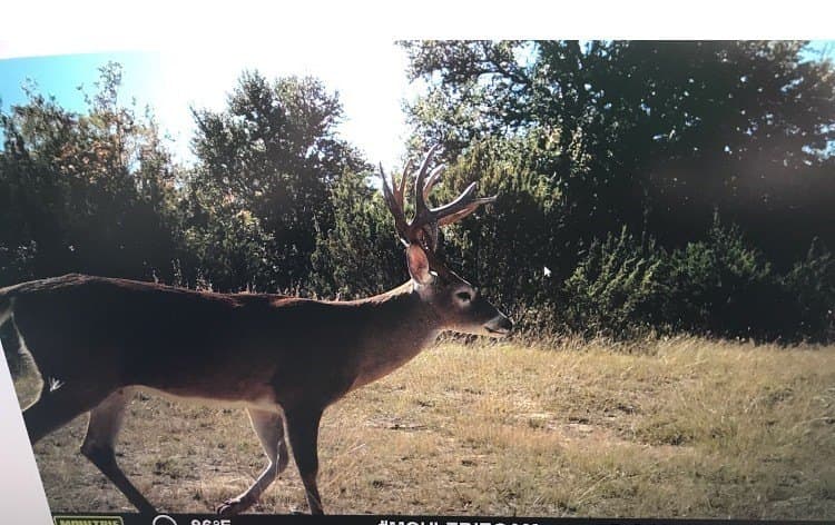 11.81 acres in Erath County - photo 15