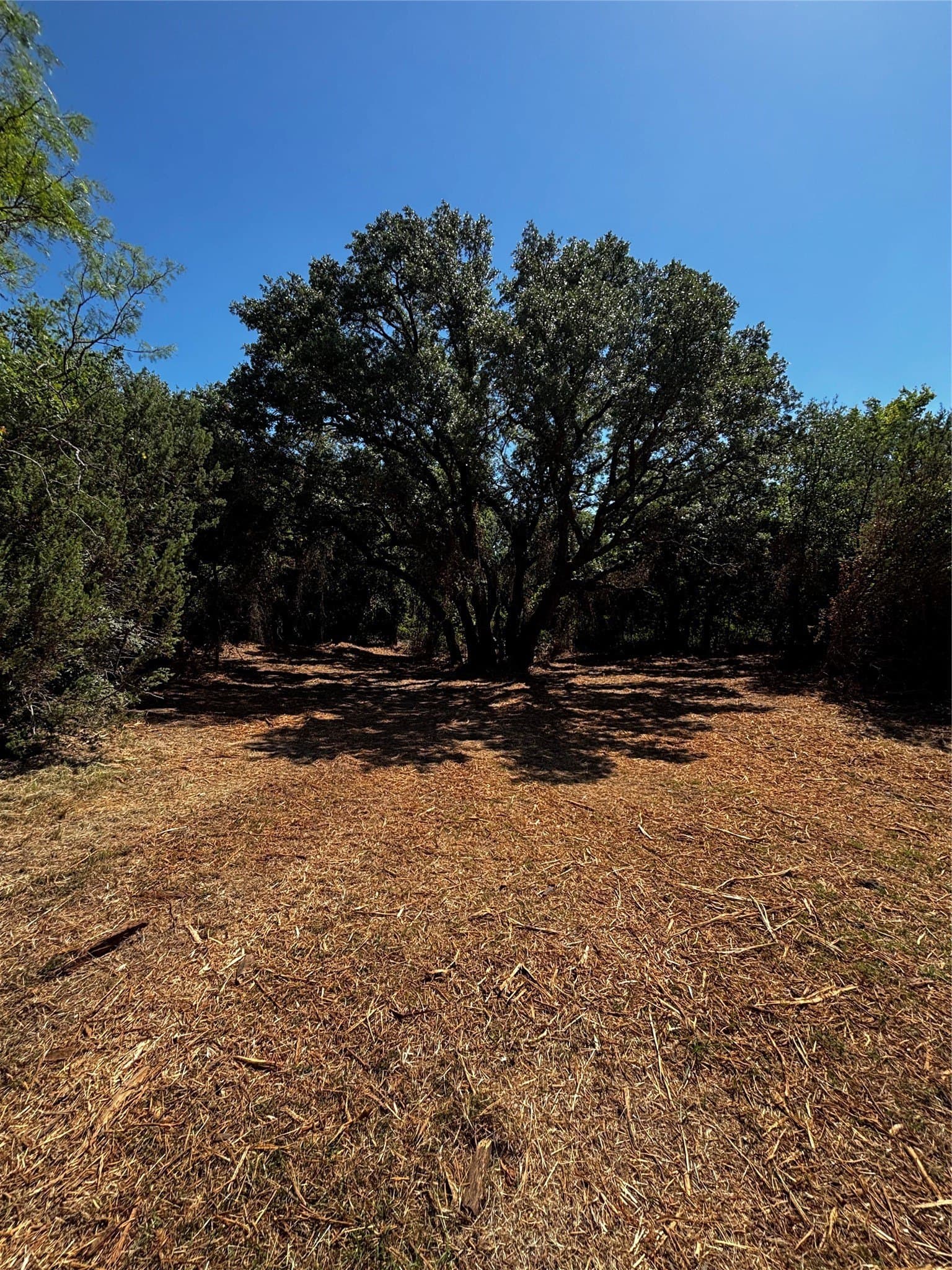 11.81 acres in Erath County - photo 20