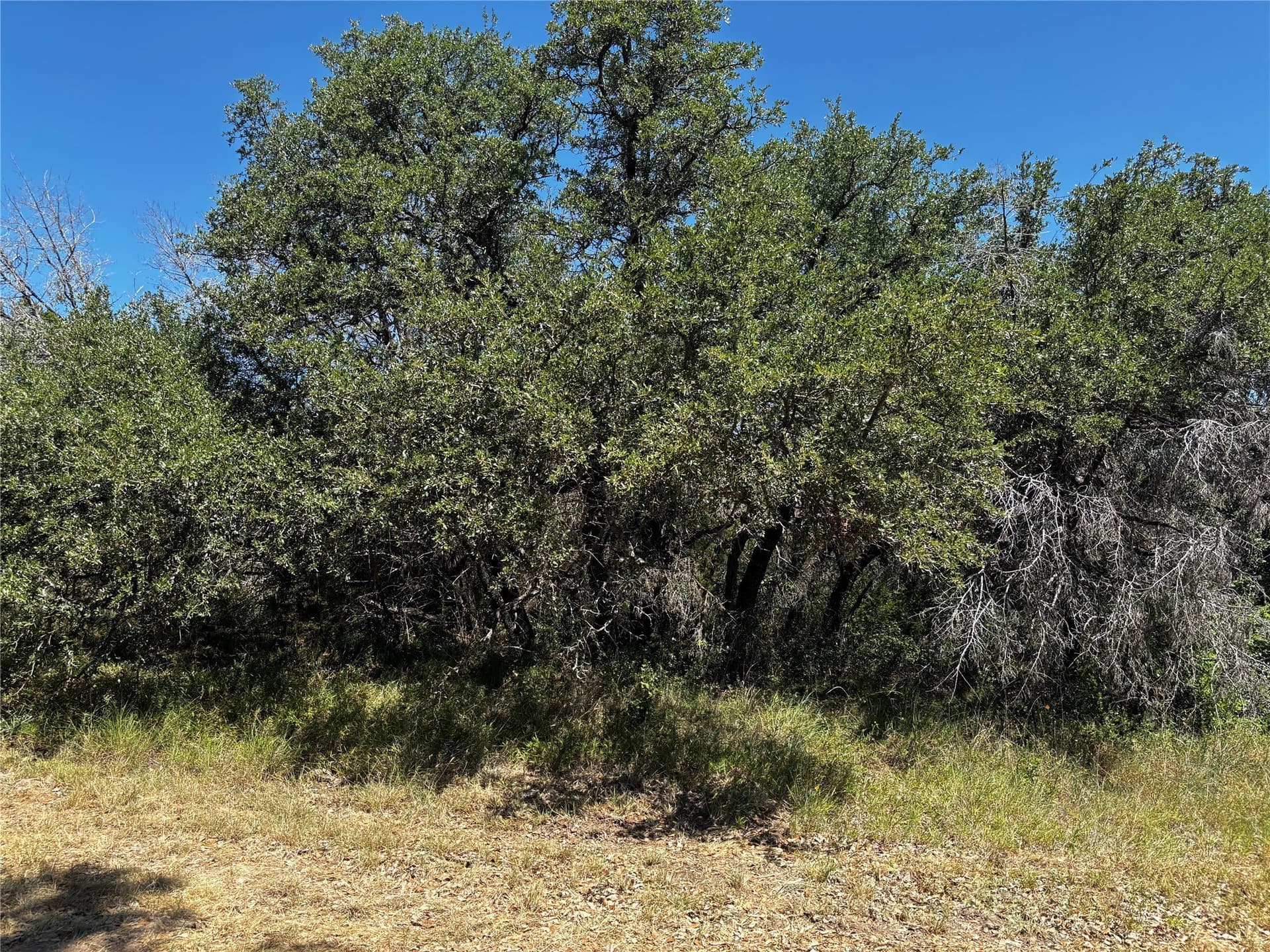 11.81 acres in Erath County - photo 7